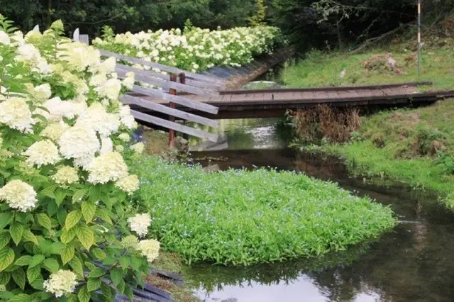 Cottage for 4 people in Walcourt Les Etangs du Francbois : Les Mélèzes
